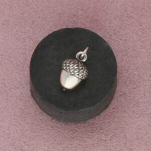 james avery sterling silver retired acorn charm pendant